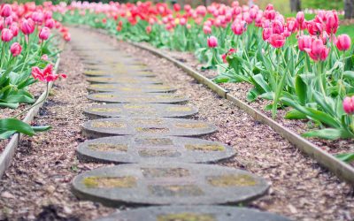 Płyty gumowe chodnikowe – rozwiązanie na ekologiczną przestrzeń we własnym ogrodzie